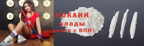spice Фёдоровский