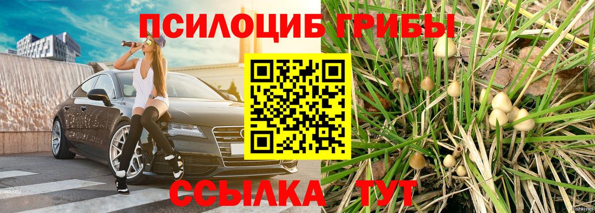 Псилоцибиновые грибы MAGIC MUSHROOMS Салават
