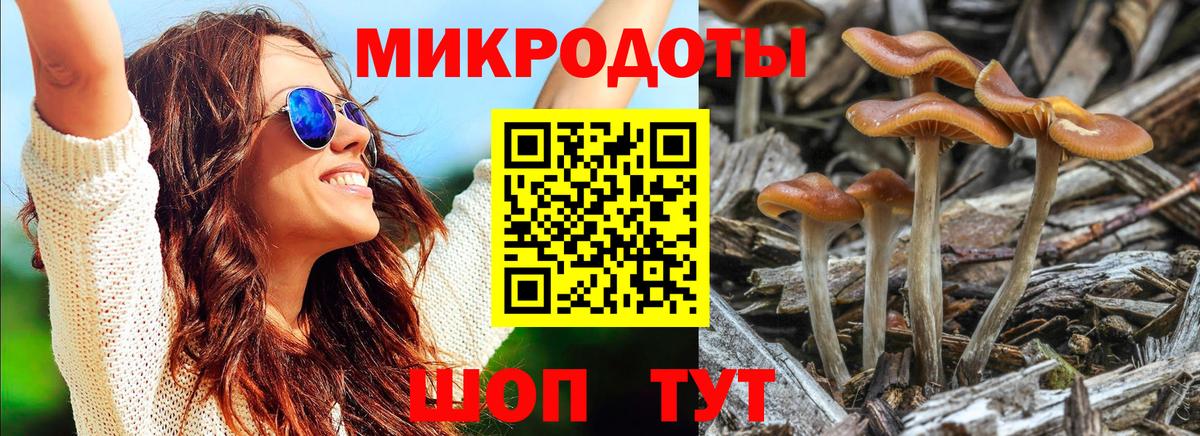Галлюциногенные грибы GOLDEN TEACHER  Вход с VPN  Салават 