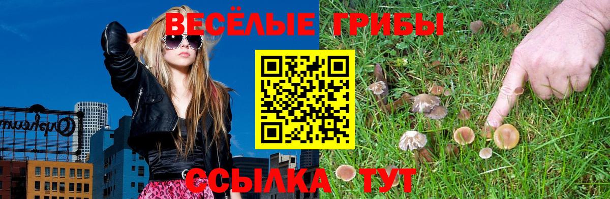 Галлюциногенные грибы GOLDEN TEACHER Салават